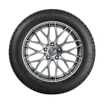 Kormoran 255/50R19 107V SUV SNOW XL - Image 2