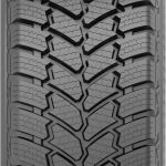 Petlas 235/65R16C 121/119R (12PR) FULLGRIP PT935 - Image 2