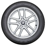 BRIDGESTONE 235/55R17 103H Weather Control A005 XL - Image 9