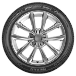 Nexen 275/30R20 93W WinGuard Sport 2 - Image 3