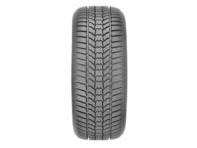 Sava 205/55R16 91H Eskimo HP 2 - Image 2