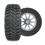 Double Star 245/75R16 114/111N T01 - Image 3