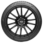 Pirelli 255/45R22 107H PZERO WINTER XL* S-I ELT - Image 4