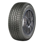 Motomaster 225/40R18 88H WINTER EDGE 2
