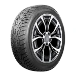 Autogreen 195/55R16 87T AW01 studded
