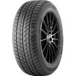 Double Star 255/50R20 109H DW09 XL