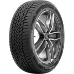 RADAR 255/45R20 105W DIMAX WINTER EVc XL