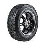 225/60RR17 WOLF Nord 2 (taastatud)
