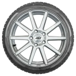 Pirelli 255/40R19 100V W240 SOTTOZERO 2 XL * - Pilt 4